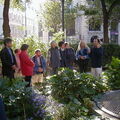 P9230004 JPG