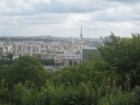 IMG 3530