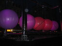 IMG 8272