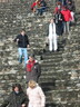 IMG 0056