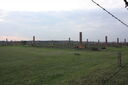 Img 0860