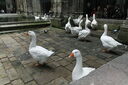 img 5436