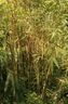 Photo051