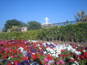IMG 2100 Oman