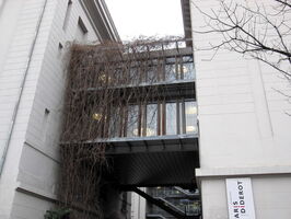 IMG 0034