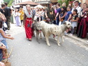 DSC02904